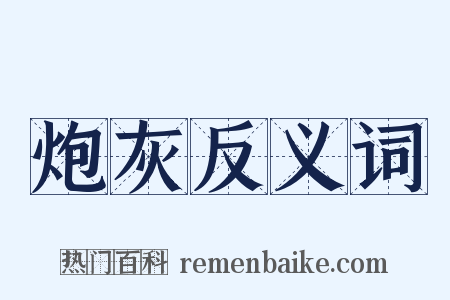 炮灰反义词是什么意思的图片